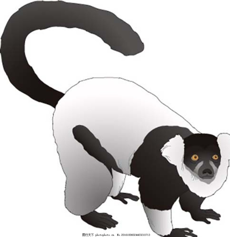 猴子剪影 卡通猴子 猴子卡通画 可爱萌猴子 猴子简笔画 猴子卡通图片 美猴王 卡通萌猴子 小猴子 大象 齐天大圣 宠物猴子 猴子爬树 孙悟空 大猩猩 海豚 动物黑白剪影 动物剪影 黑白剪影 生物世界 动物世界 素材 设计 生物世界 野生动物 EPS