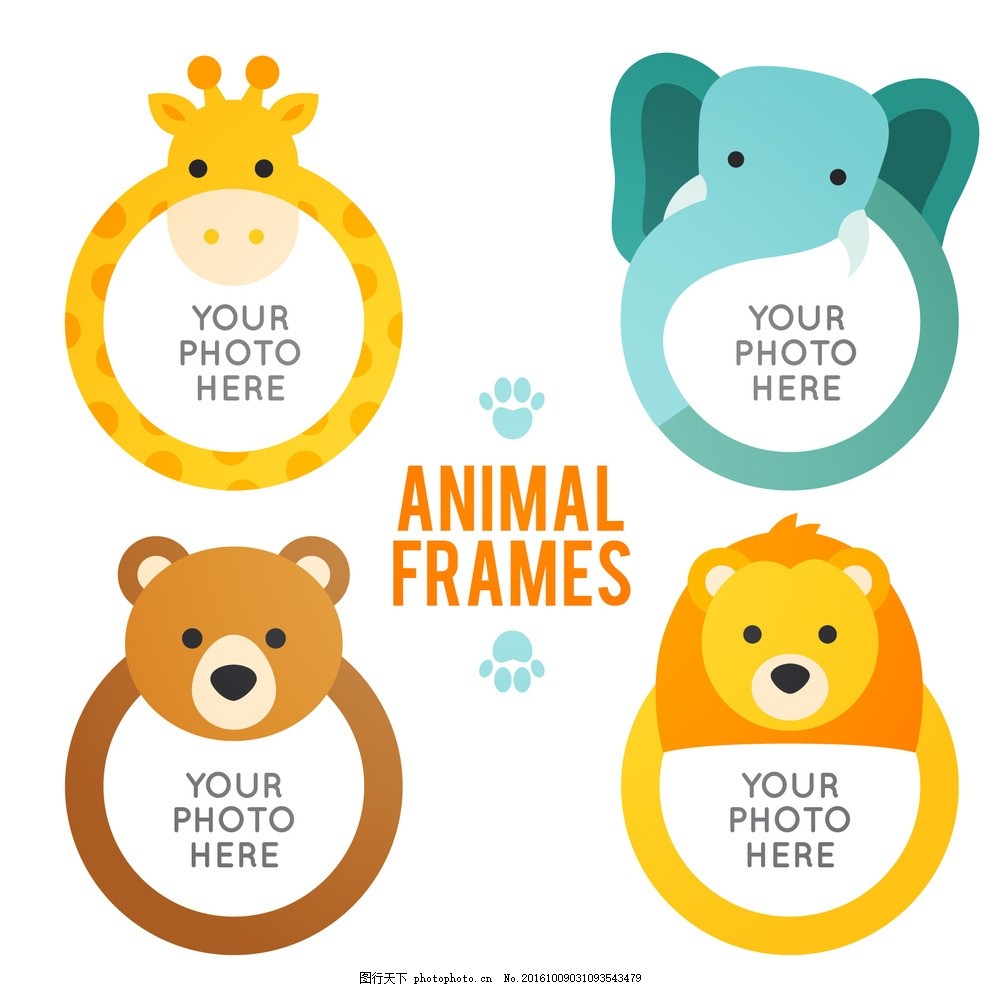 所有动物都是圆形壁纸