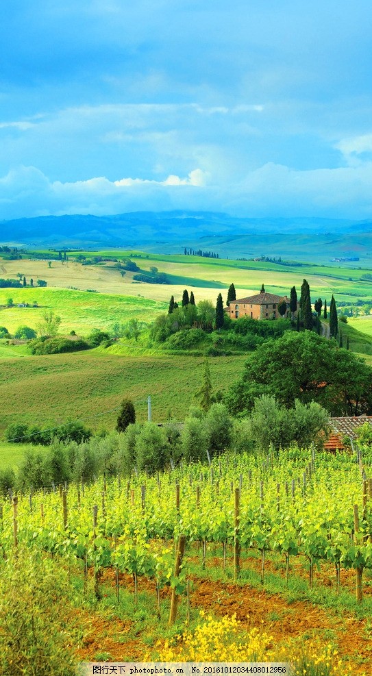 歌曲原野情歌简谱