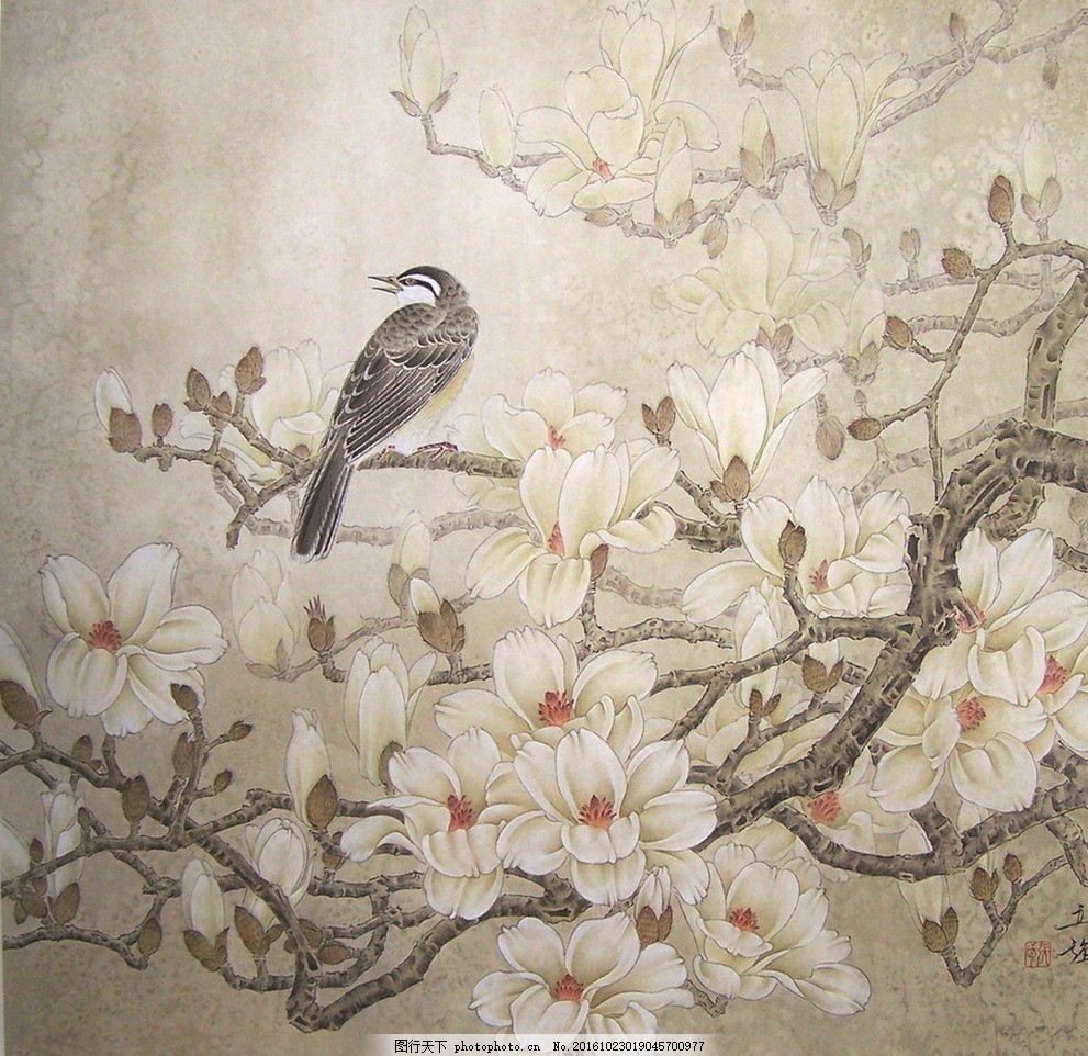 花鸟工笔画 花鸟 工笔画 手绘花鸟 国画 墙纸 装饰画 中国风 屏风