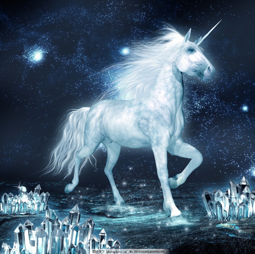 独角马 图行天下