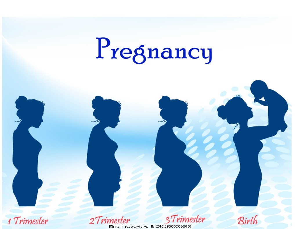 孕妇,孕妇海报 孕妇医院 孕妇保健 孕妇母婴 孕