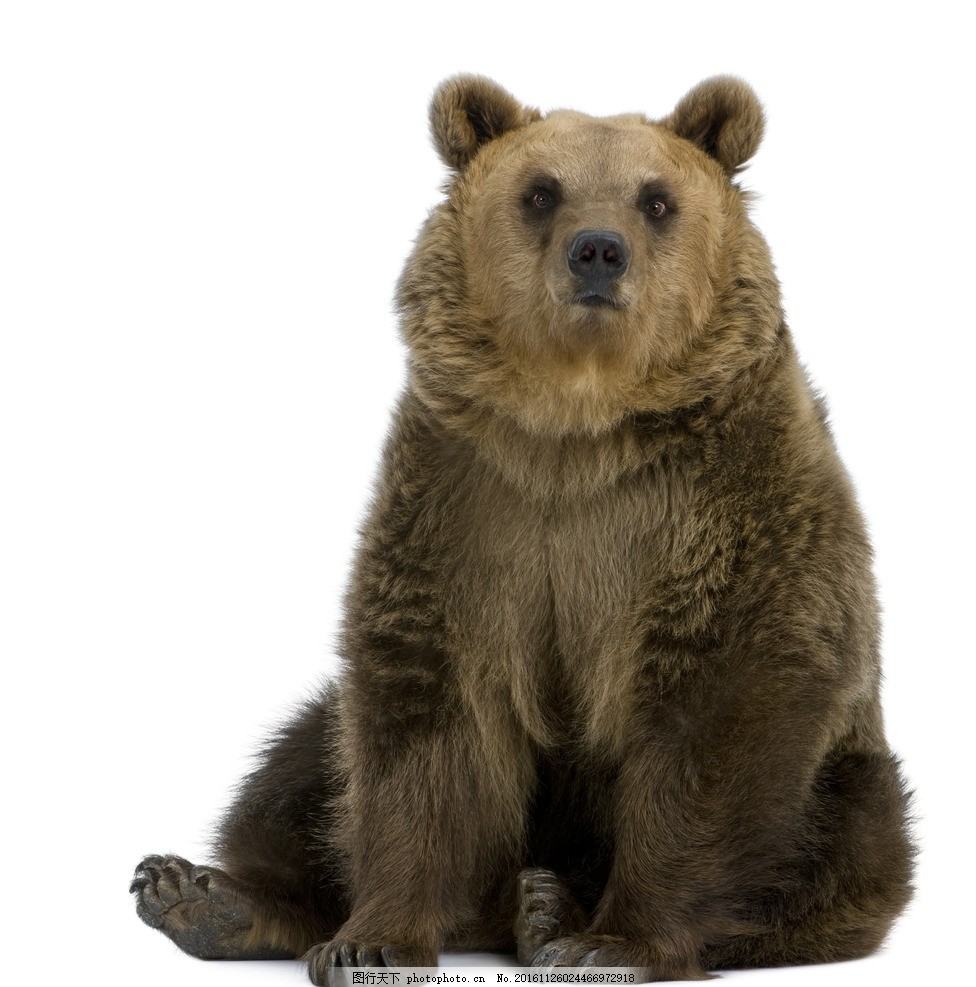 波利安娜读后感手抄报