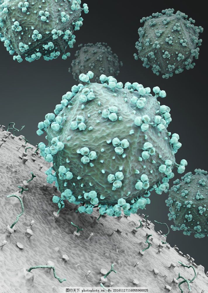 生物病毒 图行天下