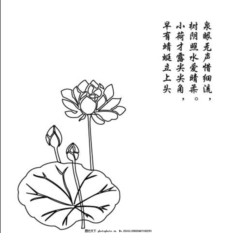 小池荷花 暗香 茶巾 矢量 线条 睡莲 古诗 荷叶 黑白线条 喜迎双节图片