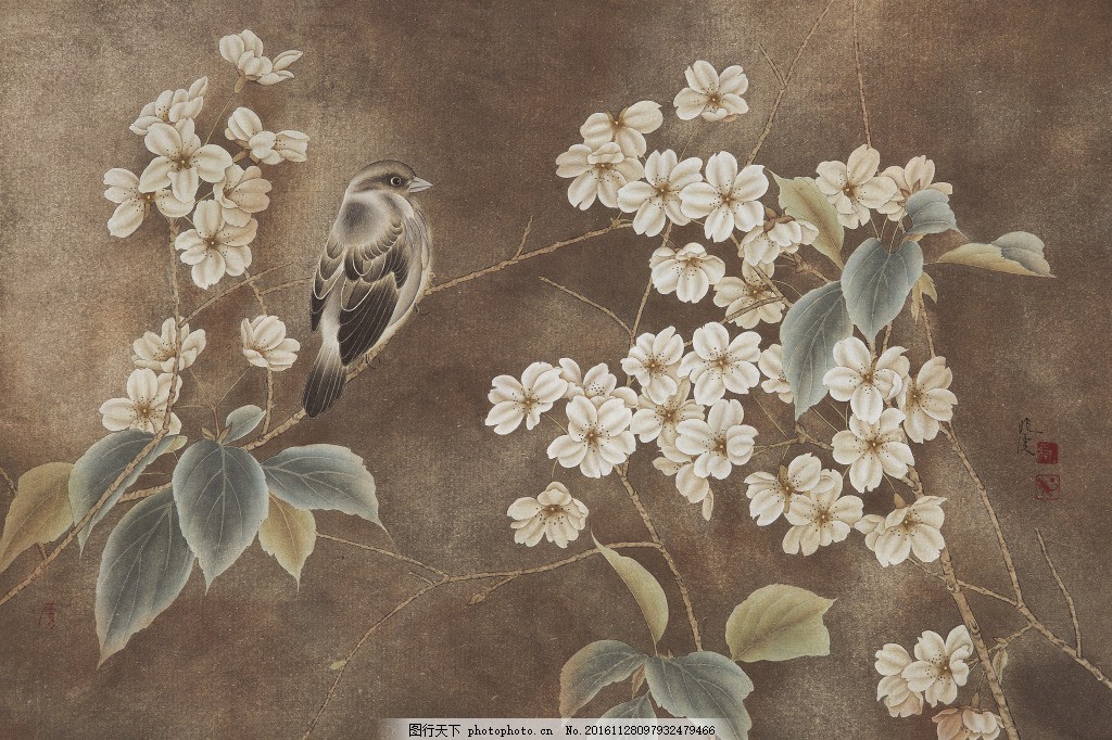 中式古典花卉背景素材,壁纸 风景 高分辨率图片