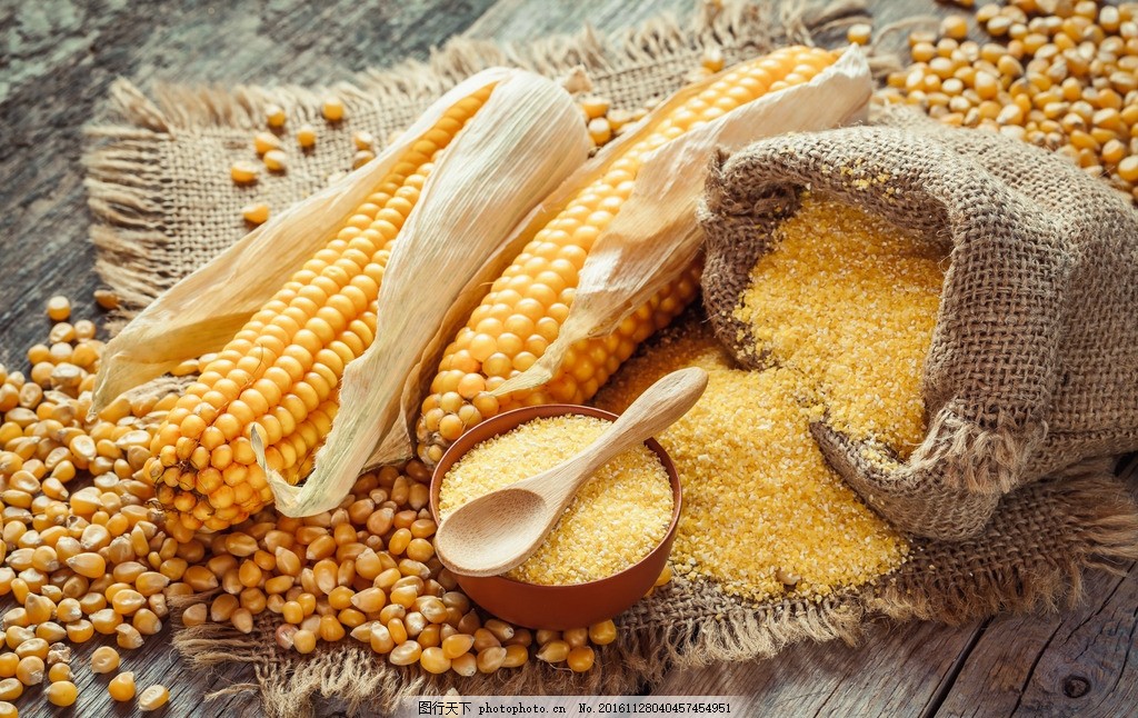 玉米谷物 玉米 谷物 棒子 粗粮 玉米粒 美食图片
