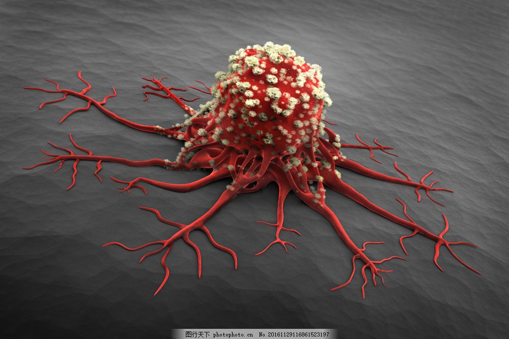 癌症病毒图片