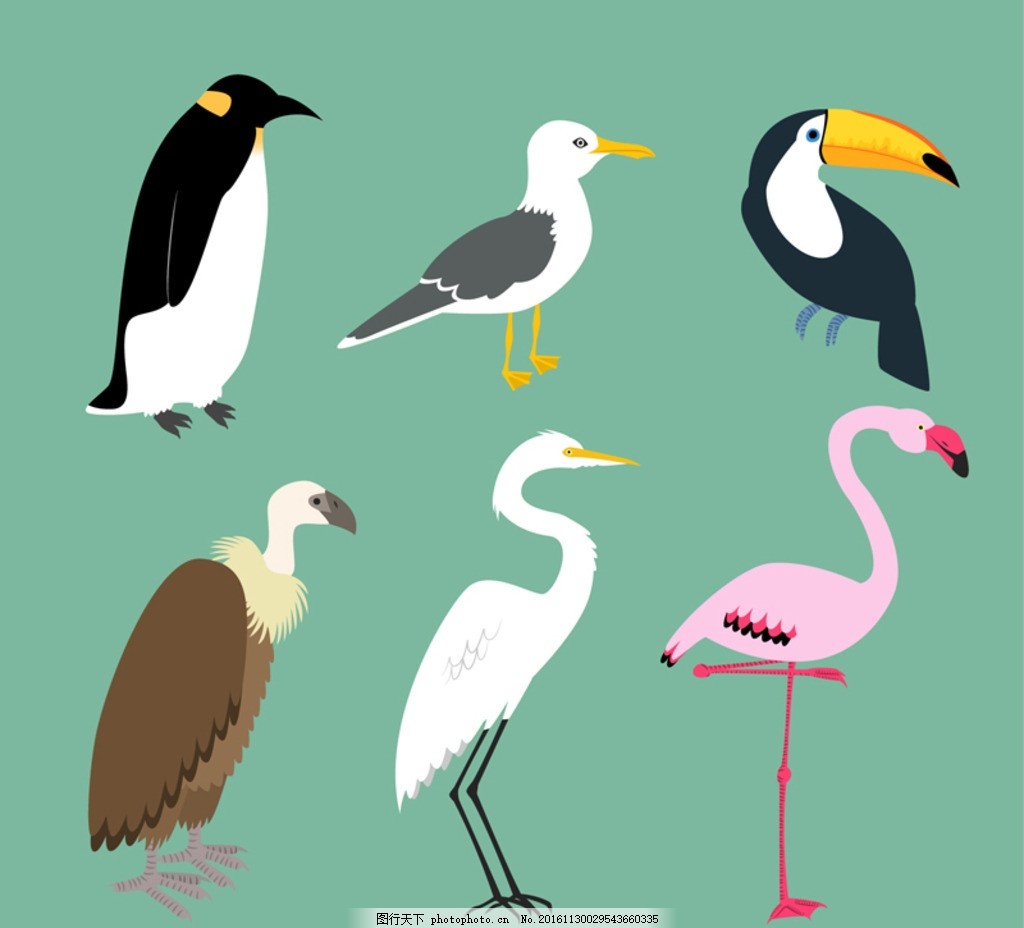 卡通鸟类,火烈鸟 蜂鸟 鹦鹉 海鸥 天鹅 动物 水玉