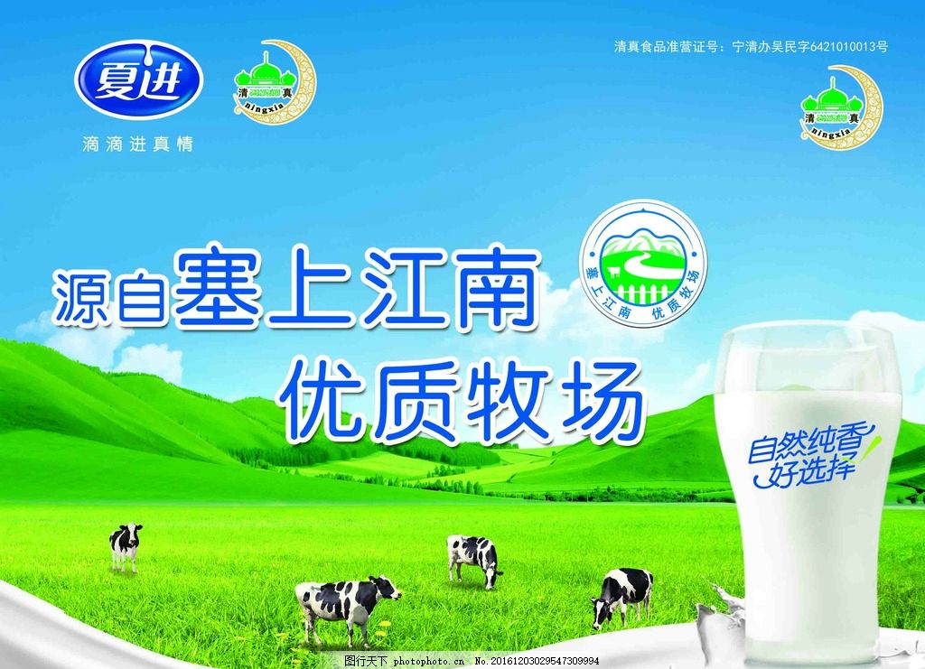 奶海报 牛奶宣传单 牛奶展架 羊奶 养牛 蒙牛 伊