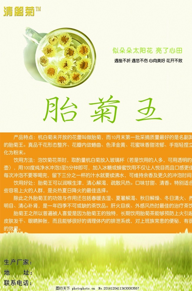 胎菊王茶叶 菊花 绿色 小清新 广告设计 包装设计图片