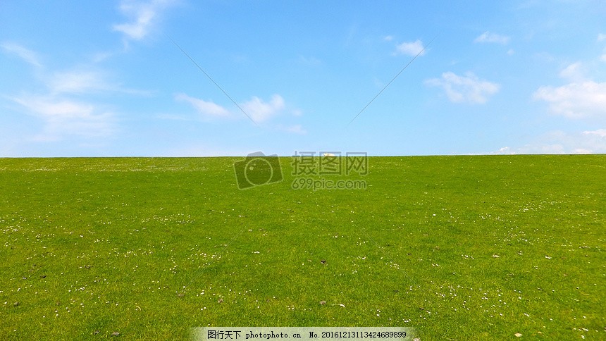 一碧万顷的大草原