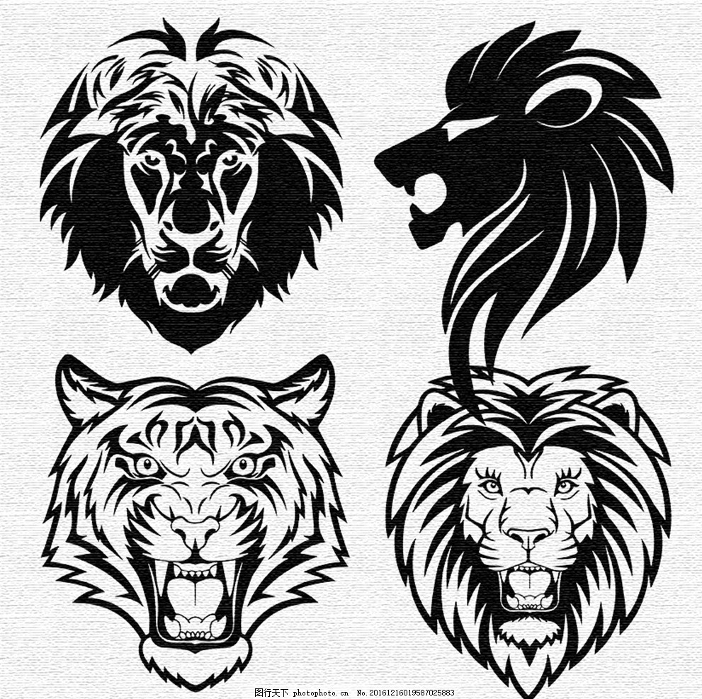 狮虎图案图片_其他_文化艺术_图行天下图库