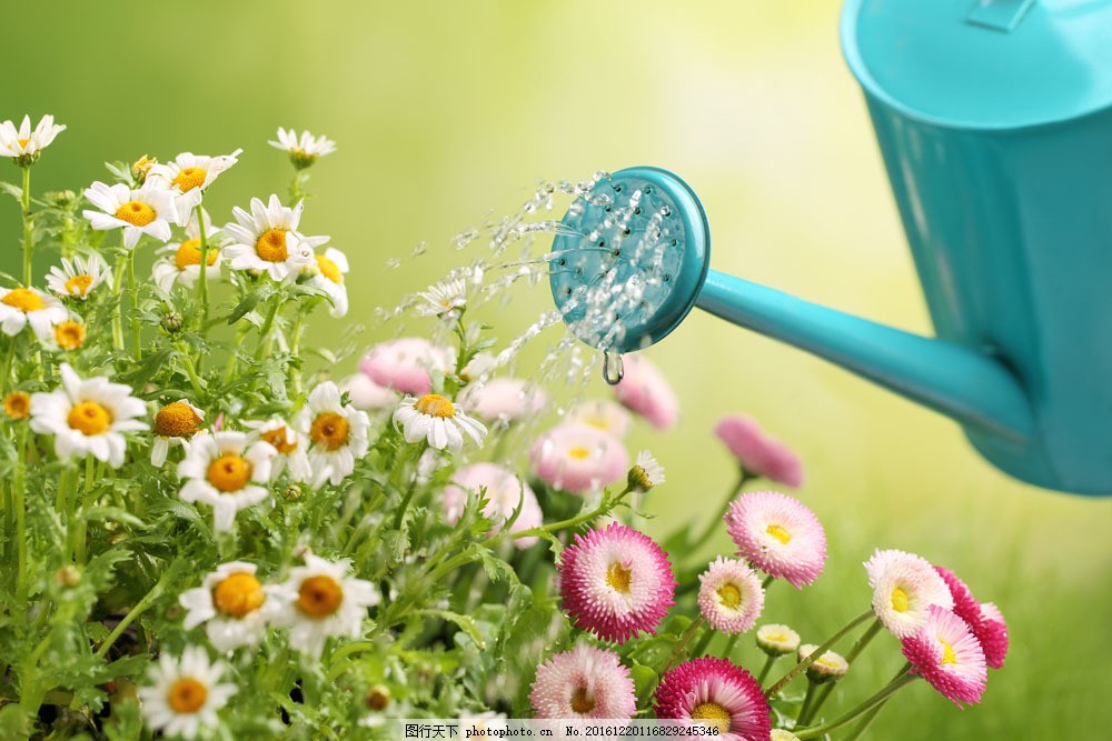 浇花的水壶摄影图片