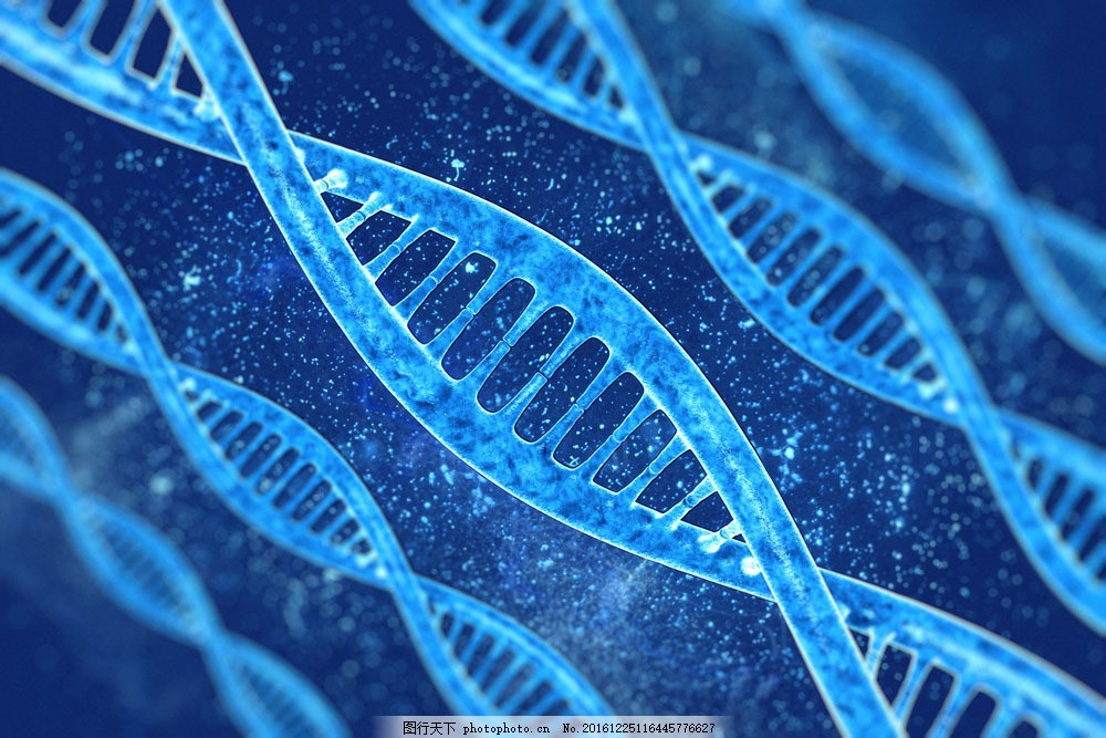 双螺旋结构动态图 gif