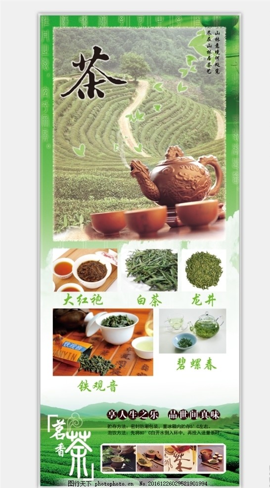 茶叶,中国名茶 十大名茶 茶道 茶画 茶壶 茶叶画