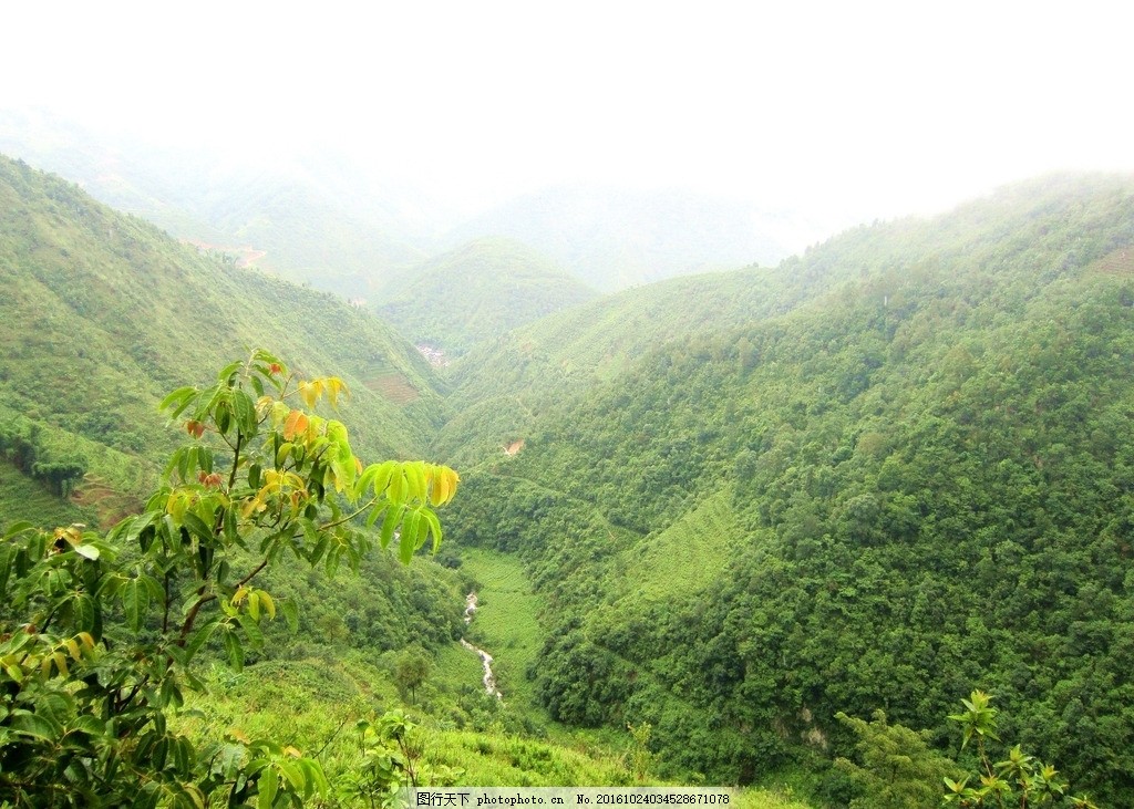 大山,山林,林,树林,森林,摄影,自然景观,田园风光,96DPI,JPG